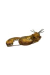 BROCHE CHAT YEUX CHRYSOPRASES EN OR 18K